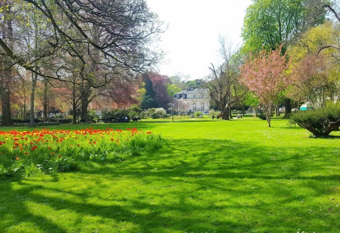 Premium Accommodatie bij particulieren Bonn